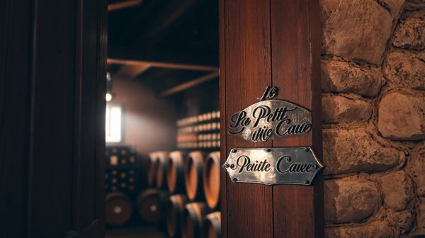 10 raisons de suivre la newsletter de La Petite Cave sur le vin