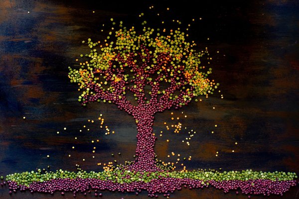 Création d'un menu de tapas végétaliennes pour un bar à cocktails moderne